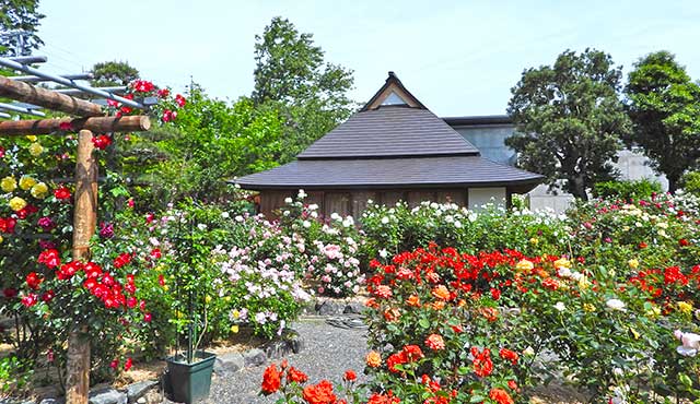 館外 神宮ばら園のご案内 神宮会館