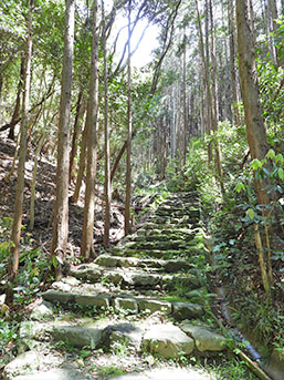 石畳の参道を登る