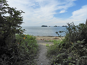 お社のすぐ後ろには海が広がる古来は中之島という島にお祀りされていたそう