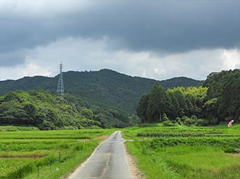 前方にそびえる山の中腹が境内地