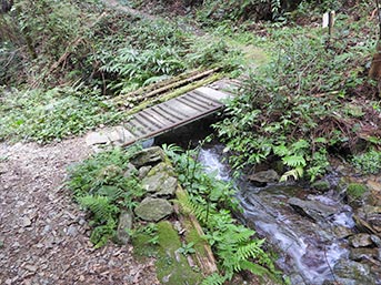 小川を渡り、けもの道を進む（橋が揺れるのでご注意を）