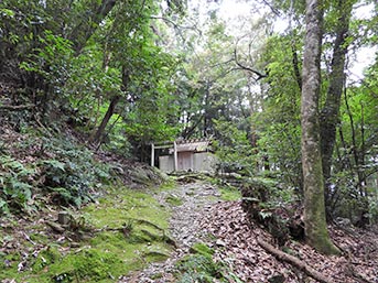 鴨神社