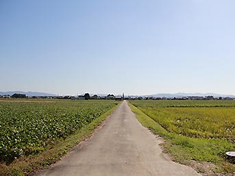 神服機殿神社前に広がる田園風景