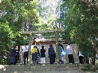 光と木々のコントラストが煌く田上大水神社