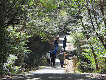 いざ鴨神社へ