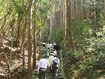 険しい石段を登り目指すは神前神社