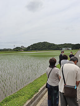 御田植後間もない神宮神田を見学