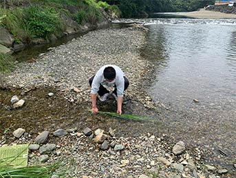 五十鈴川で茅の洗い清め