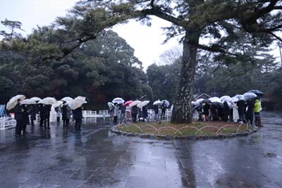 生憎の空模様　心の中で朝日を拝む