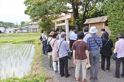 田んぼに囲まれた加努弥神社