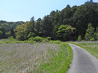 社地へとつながる弧を描く道