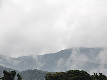 神社から眺める梅雨空の山
