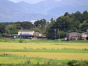 御船神社を背にした左斜め先に蚊野神社がある