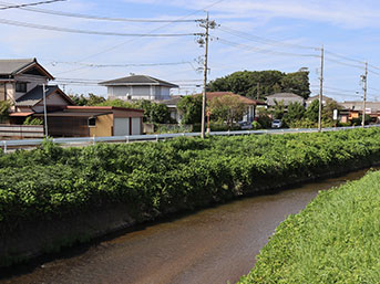 近くを流れる外城田川、奥に見える森が境内地