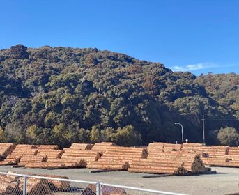 お隣の神宮貯木場と山末神社の社叢（高倉山）