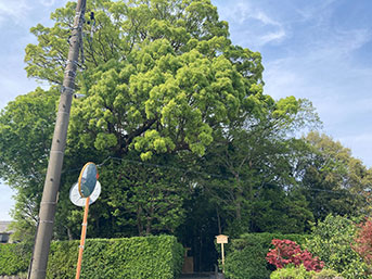 1つの玉垣内に社殿が２社並んでおり、左側が志等美神社、右側が大河内神社。