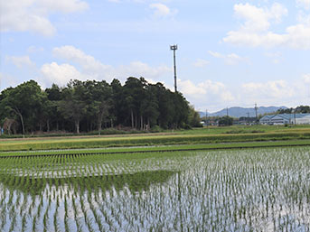 周辺の田園を見守るように社殿が建っている。