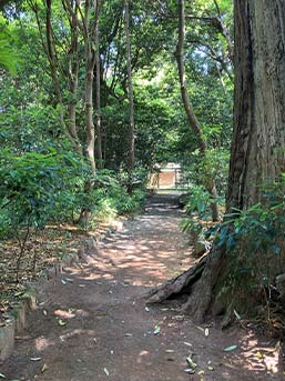 周辺の田園を見守るように社殿が建っている。