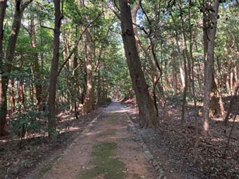 付近では弥生時代や古墳時代の遺跡が多数発見されているようだ