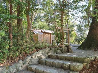 参道から垣間見る御社殿と大楠の樹幹。